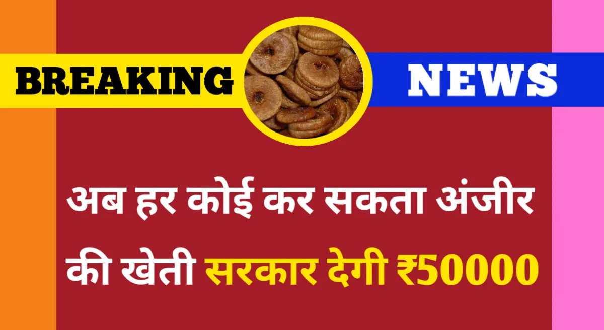 Anjeer Kheti Yojana 2024