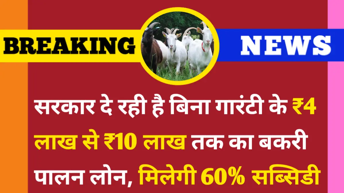 Bakri Palan Loan Yojana 2025